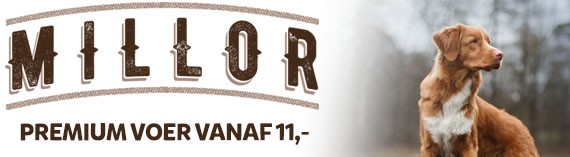 Millor hondenbrokken