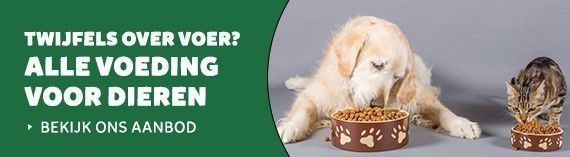 Inspiratie voor honden en katten