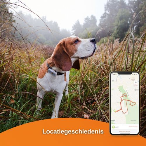 Weenect Gps Tracker Voor De Hond slechts € 48,90 voor 60mm X 12mm X 23mm.