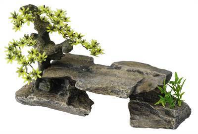 Aqua della bonsai steen plant grijs