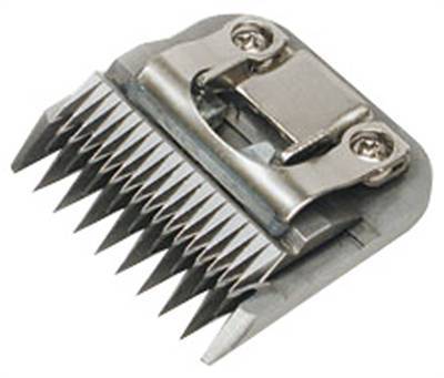 Ebi scheerkop picco bello