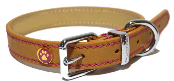 Luxury leather halsband voor hond puppy / kleine  zand met studs