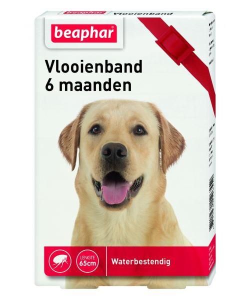 Beaphar vlooienband hond rood 6 mnd