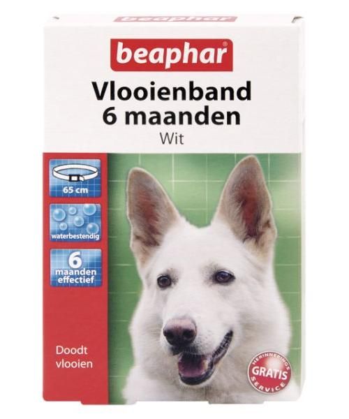 Beaphar vlooienband hond wit 6 mnd