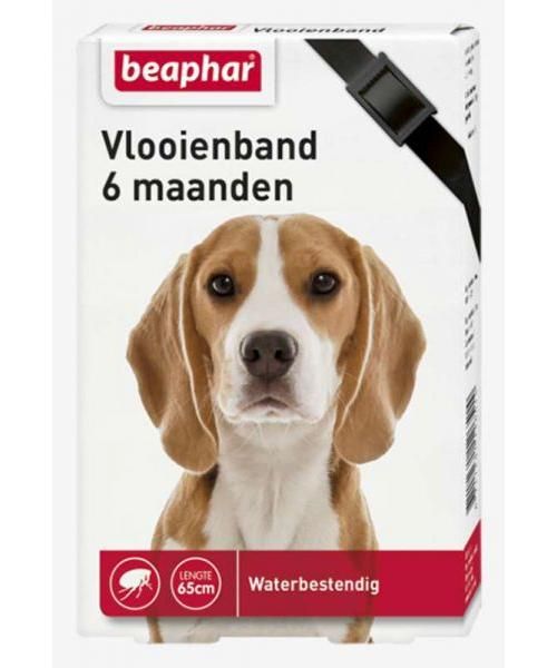 Beaphar vlooienband hond zwart 6 mnd