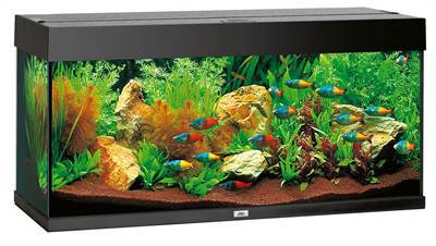 Juwel aquarium rio 180 zwart