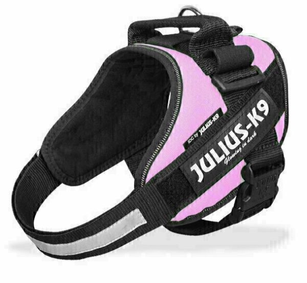Julius k9 power-harnas voor hond / tuig voor  voor labels roze