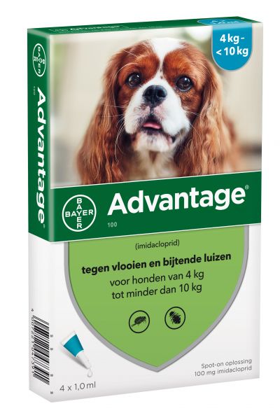 Bayer advantage hond 4 pipetten