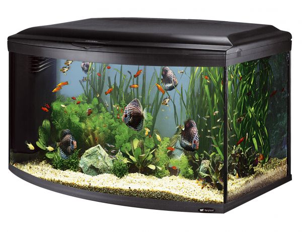 Ferplast cayman scenic zwart
