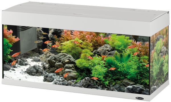 Ferplast aquarium dubai 100 led wit