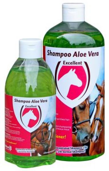 Shampoo aloe vera horse