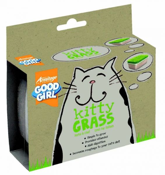 Kitty grass kattengras