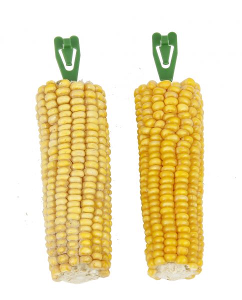 Vitakraft golden corn maiskolf voor knaagdieren