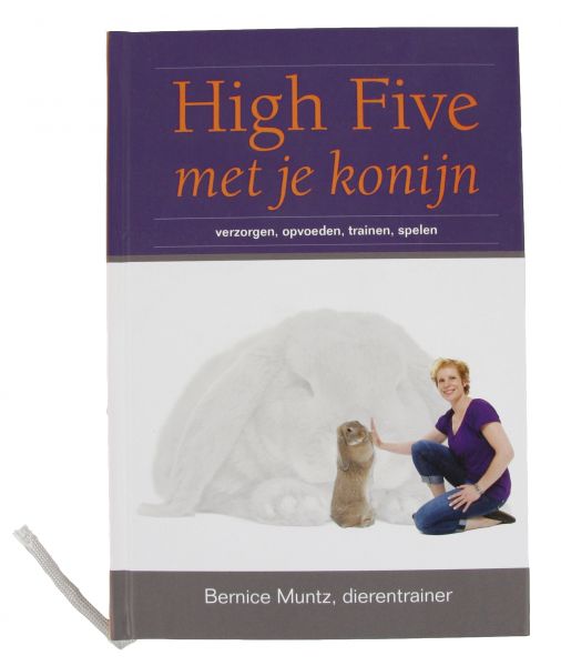 Boek high five met je konijn
