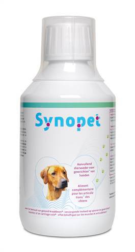 Synopet dog