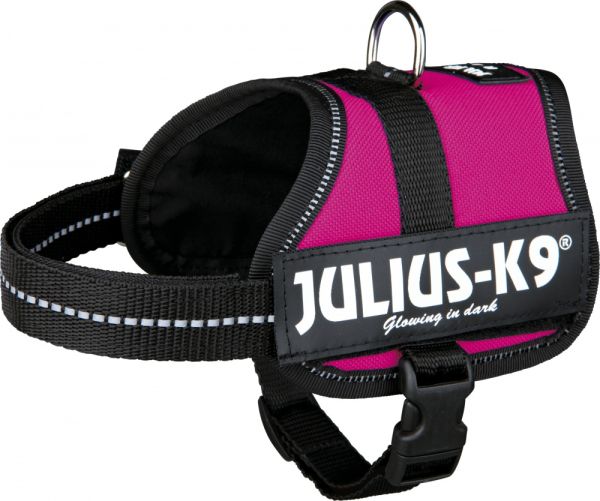 Haringen Koreaans Leven van Julius K9 Power-harnas Voor Hond / Tuig Voor Voor Labels Fuchsia slechts €  17,99 voor Baby 2/33-45 Cm.