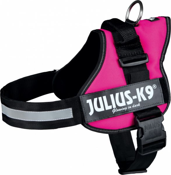 Omleiding peddelen Aanmoediging Julius K9 Power-harnas Voor Hond / Tuig Voor Voor Labels Fuchsia slechts €  40,95 voor Maat 1/66-85 Cm.