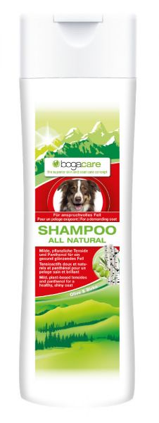 Bogacare shampoo all natural