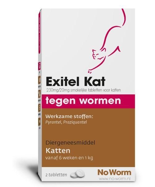 Exitel kat no worm