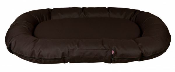 samoa bruin