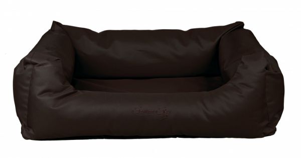 samoa bruin