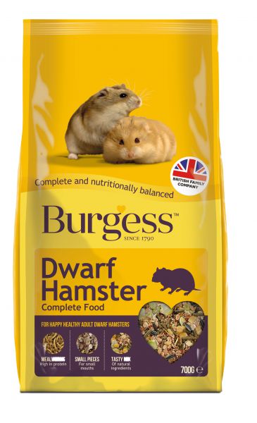 Burgess dwarf hamster complete