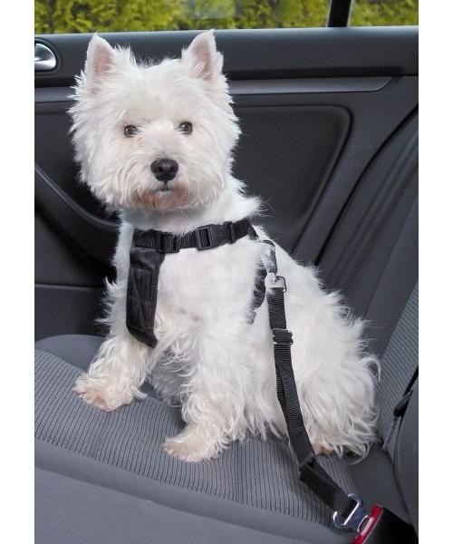 Trixie tuig voor hond auto inclusief gordel zwart