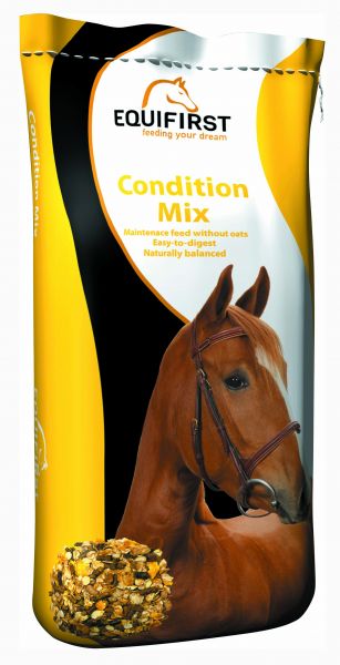 Equifirst condition mix