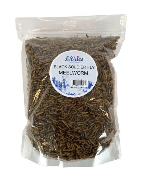 De vries black soldier fly larven