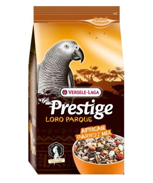 Prestige Premium Afrikaanse Papegaai