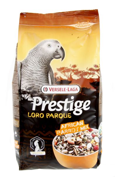Prestige premium afrikaanse papegaai