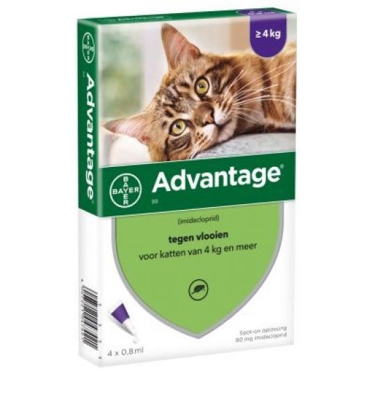 Bayer advantage kat 4 pipetten