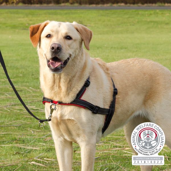 Baron inleveren stuk Trixie Tuig Voor Hond Trainingstuig Voor Hond Lead'n'walk Soft Zwart  slechts € 27,99 voor 65-105x2,5 Cm.