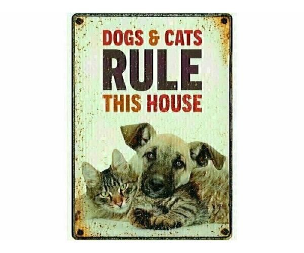 Plenty gifts waakbord blik dogs & cats rule this house