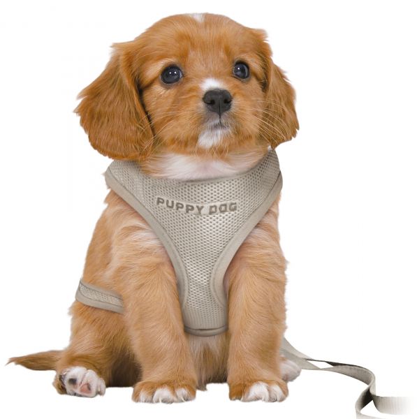 Trixie tuig voor hond junior puppy softtuig voor hond met riem lichtgrijs