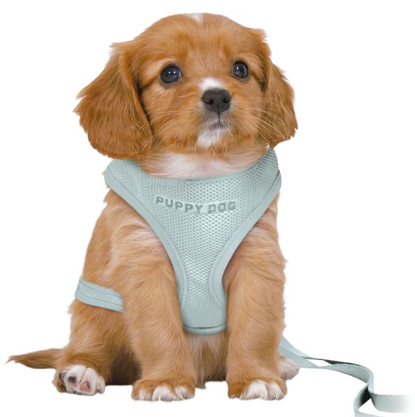 Trixie tuig voor hond junior puppy softtuig voor hond met riem mintgroen