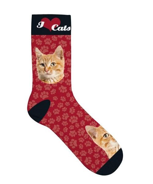 Plenty gifts sokken oranje katten rood