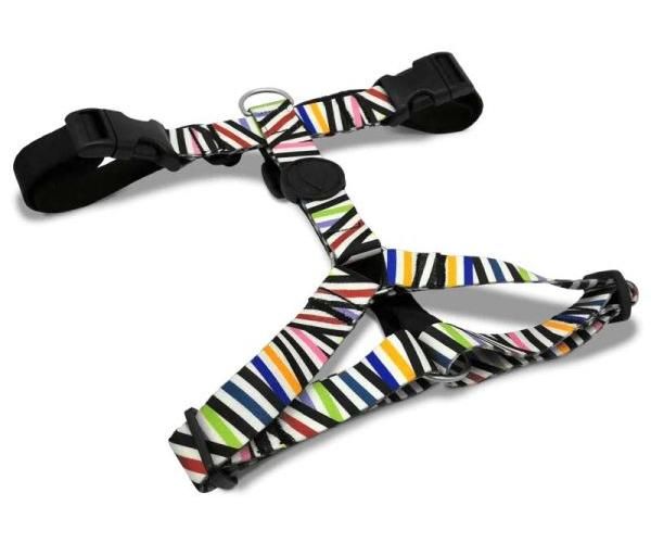 Morso tuig voor hond h-tuig voor hond gerecycled spaghetti incident