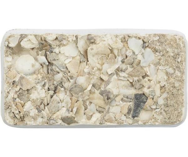 Trixie piksteen met schelpen mineralen en mosselen