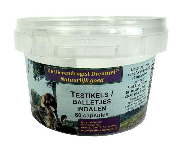 Dierendrogist testikels indalen capsules