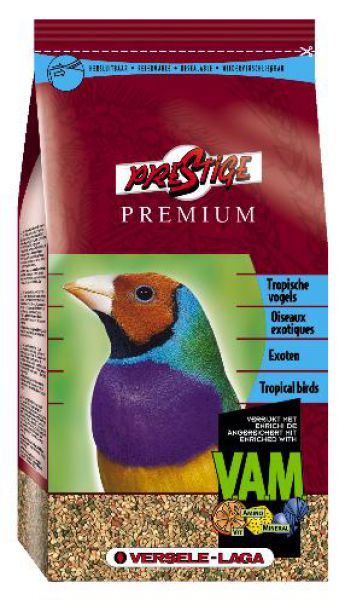 Prestige premium tropische vogels
