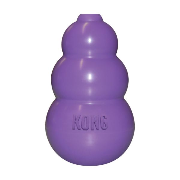 KONG Kitty KONG
