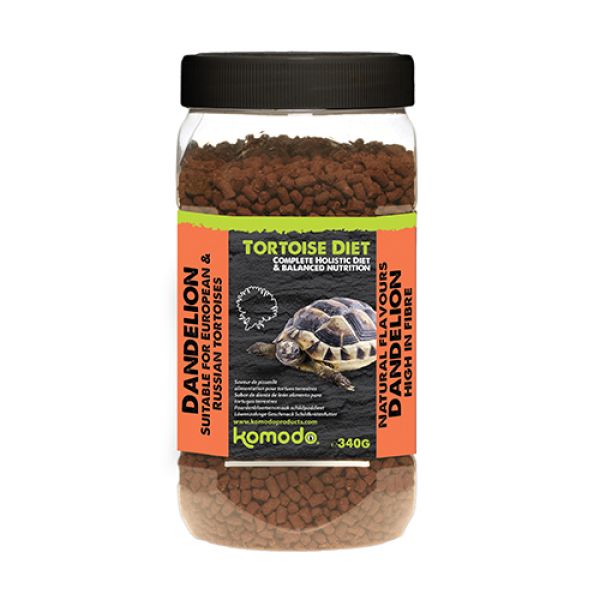 Komodo voer schildpad paardenbloem