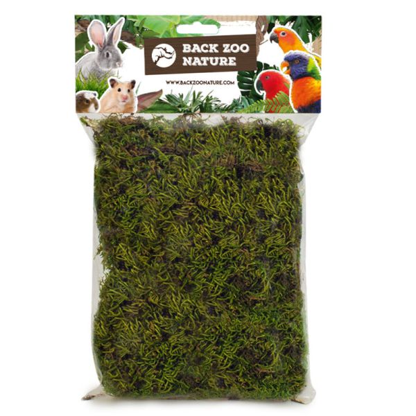 Back zoo nature forest moss