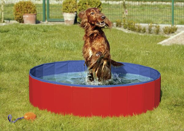 Karlie doggy pool hondenzwembad rood/blauw