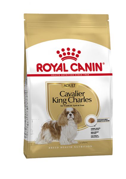 Royal canin cavalier king charles hondenvoer