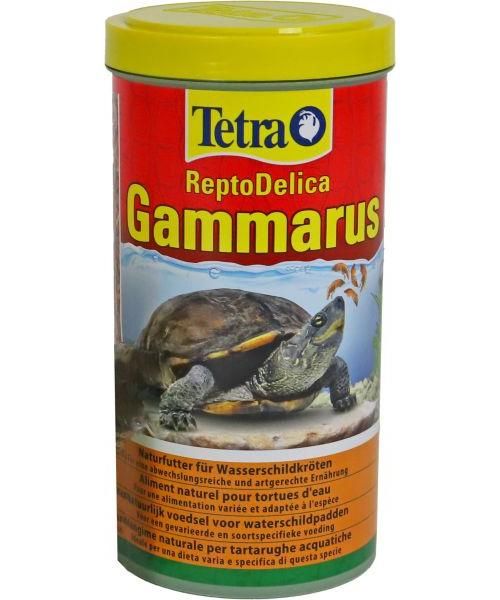 Tetra gammarus schildpadvoer