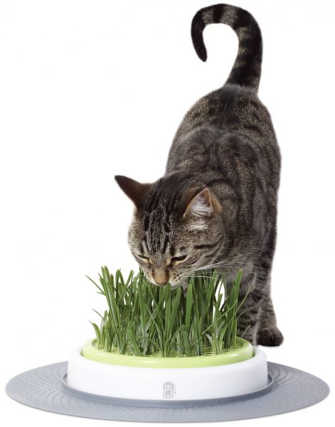 Hagen catit design senses grass garden kit