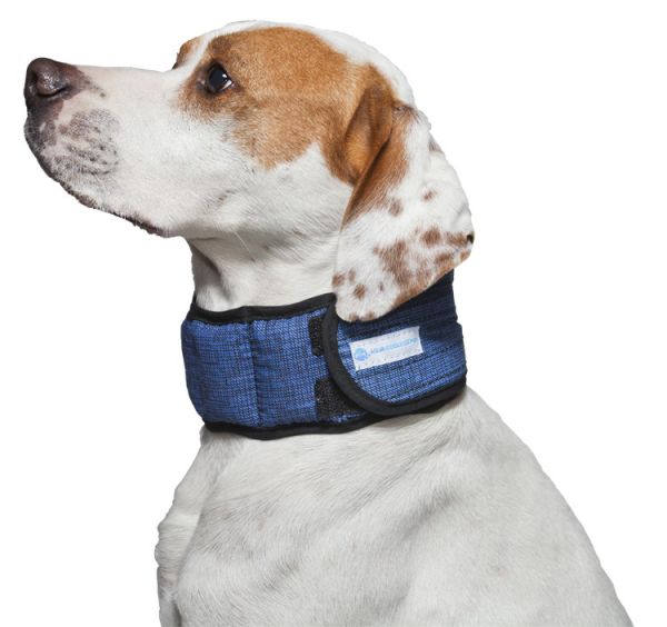 Halsband voor hond aqua coolkeeper pacific blue