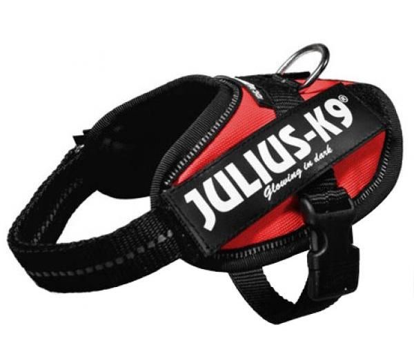 Julius k9 power-harnas voor hond / tuig voor  voor labels rood